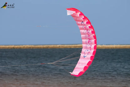 Rainbow Stunt Parafoil Kite - Outdoor Dual Line Power Sports Kite for Beginners & Beach Fun