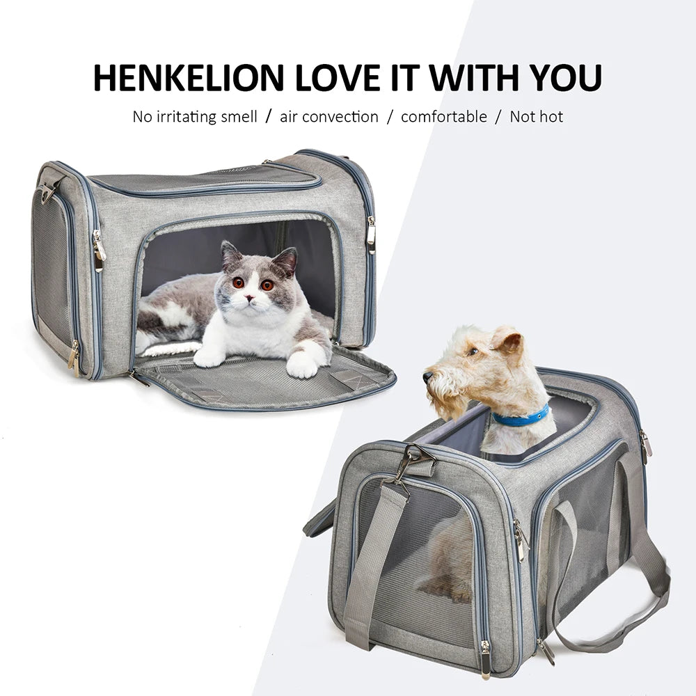 Soft-Sided Dog Carrier Backpack: Airline Approved Pet Travel Bag - Transport for Small Dogs and Cats, Outgoing Adventures
