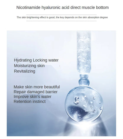 500ml Hyaluronic Acid Facial Essence – Moisturizing, Whitening, Pore Minimizing, Anti-Aging & Anti-Wrinkle Serum with VC & Niacinamide
