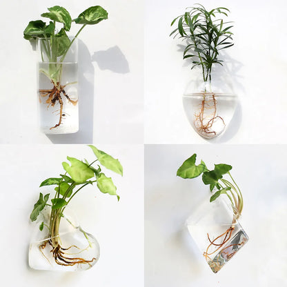 Wall Hanging Glass Terrarium - Fashionable Flower Vase and Fish Tank, Home Garden Planter for Decoration