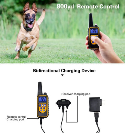 Waterproof Electric Dog Training Collar with Remote – Rechargeable Anti-Bark Control Device for All Dog Sizes