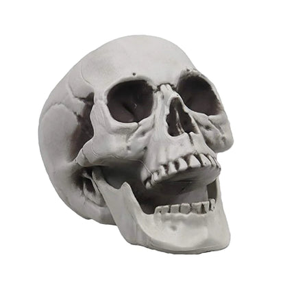 Plastic Skull Head Figurine — Scary Skeleton Decorative Statue for Halloween, Bar, Party & Home Decor