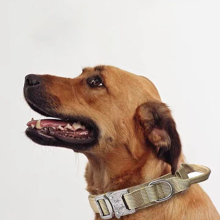 Durable Nylon Pet Dog Collar & Leash Set – Reflective Tactical Training Collar for Large Dogs