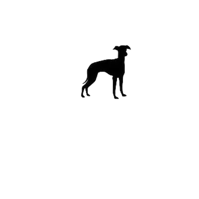 Personalized Pet Memorial Stone – Heart-Shaped Dog & Cat Grave Marker with Paw Design, 1-24 Patterns for Garden Tombstone