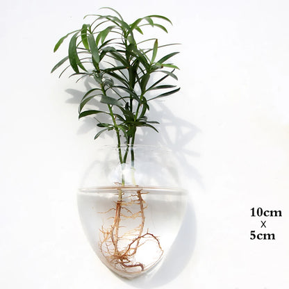 Wall Hanging Glass Terrarium - Fashionable Flower Vase and Fish Tank, Home Garden Planter for Decoration