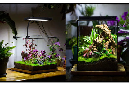 WEEK AQUA USB Aquarium Light – Full Spectrum LED for Plant Growth, Nano & Microlandscape Aquariums