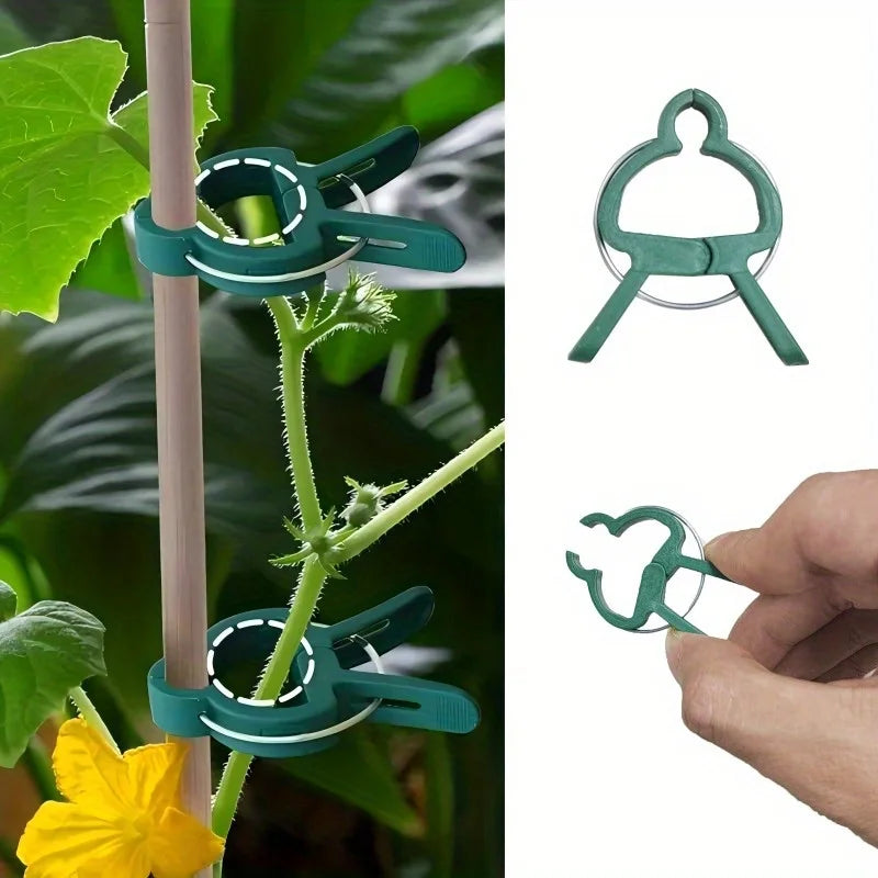 50/20/10pcs Adjustable Plant Clips – Reusable Plastic Garden Supports for Flowers, Vines, Vegetables & Tomatoes