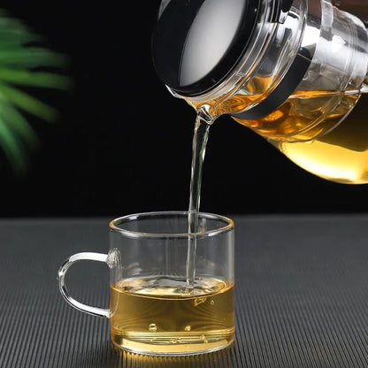 HMLOVE Heat-Resistant Glass Teapot – Puer Kettle Tea Infuser, Kung Fu Teaware Set, High Borosilicate Heatable Pot