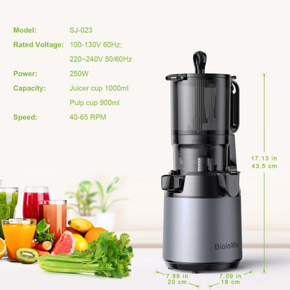 BioloMix Cold Press Juicer — 130mm Feed Chute, Whole Fruit & Veg, High Yield BPA-Free Slow Masticating Juicer