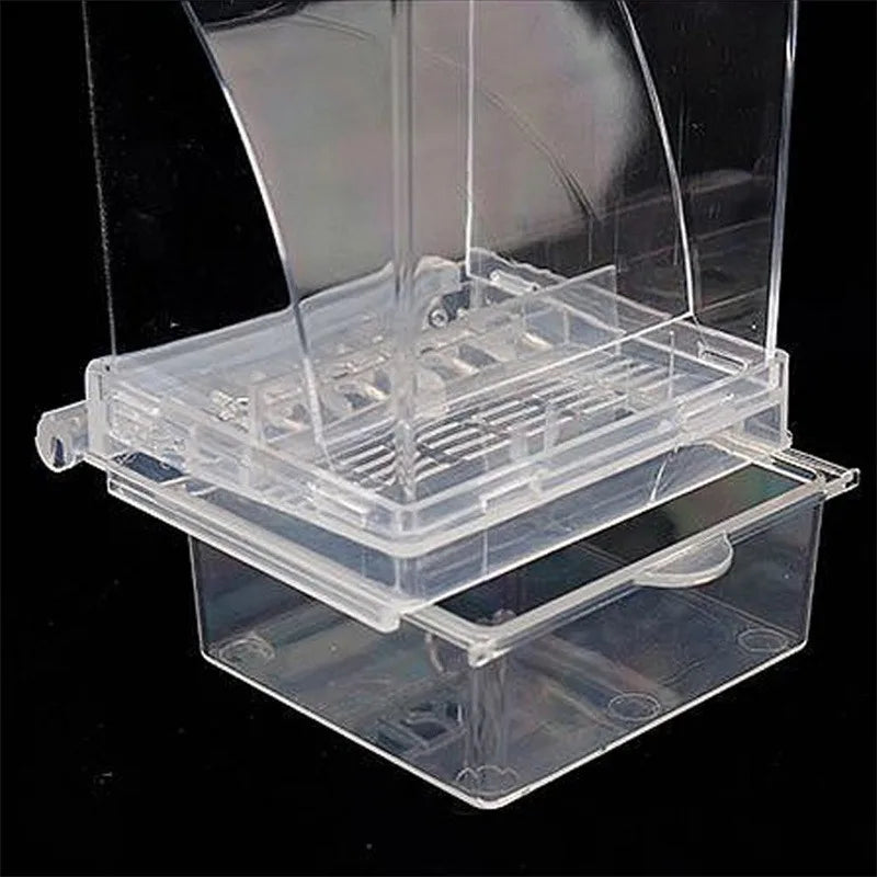 Automatic Bird Feeder: No-Mess Parrot Feeder & Drinker - Acrylic Seed Container for Small & Medium Parakeets