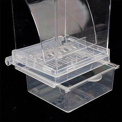 Automatic Bird Feeder: No-Mess Parrot Feeder & Drinker - Acrylic Seed Container for Small & Medium Parakeets