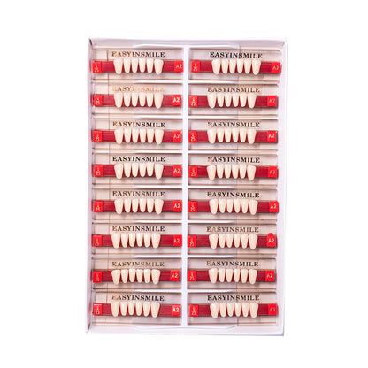 16/12 Set Dental Denture Teeth Model Kit, Upper & Lower Anterior Synthetic Polymer Teeth A2 A3 for Dental Education & Training