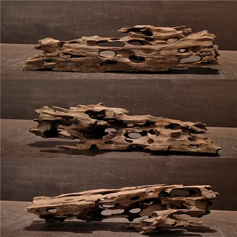 Natural Wooden Driftwood Aquarium Decor – Porous Fish Tank Decoration for Crabs, Shrimp & Fish