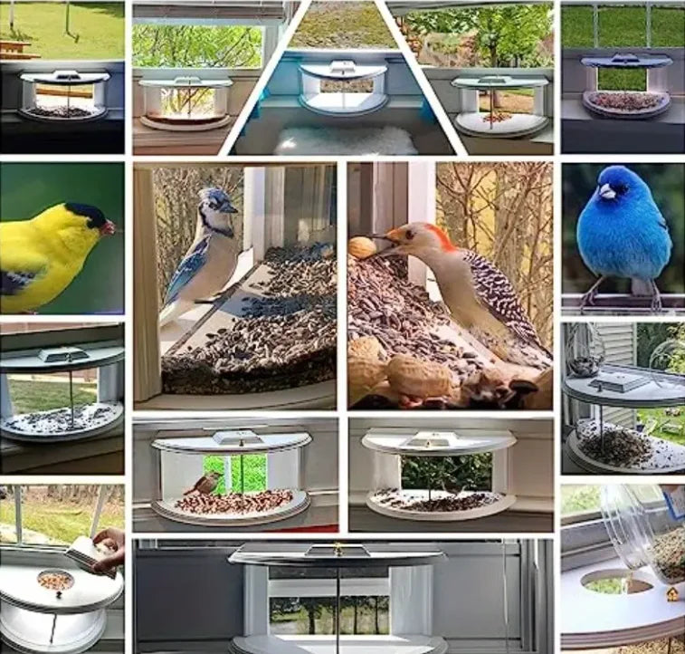 Window Bird Feeder - 180° Clear View Hanging Bird Feeding Tray for Easy Bird Watching & Outdoor Decor