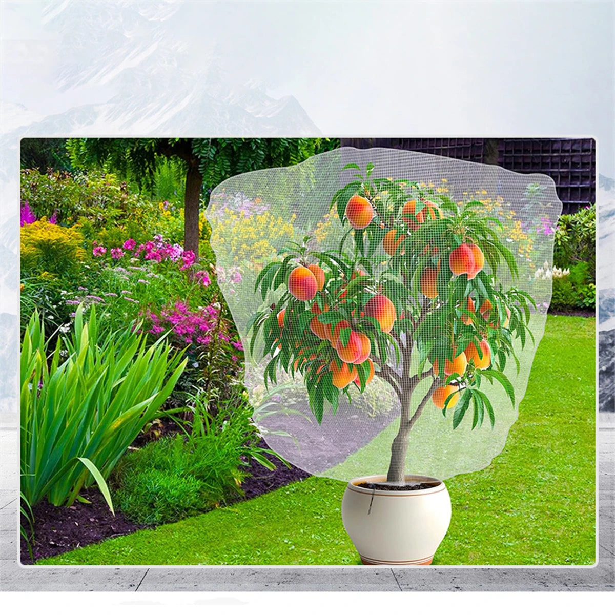 Thickened Insect-Proof Net Cover – 60 Mesh for Vegetables, Fruit Trees, Greenhouses & Breeding Protection