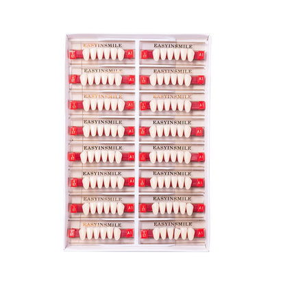 16/12 Set Dental Denture Teeth Model Kit, Upper & Lower Anterior Synthetic Polymer Teeth A2 A3 for Dental Education & Training