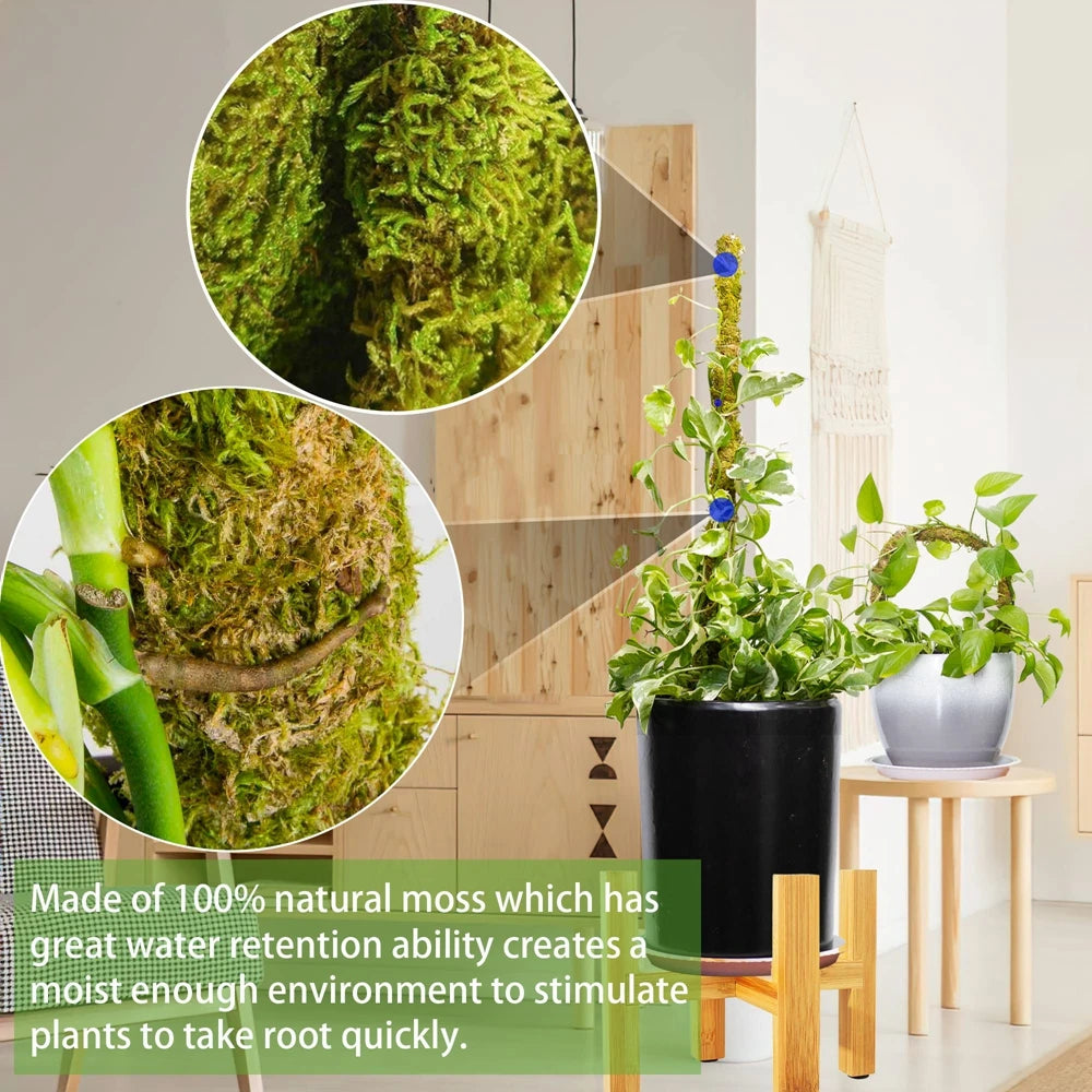 1PC Handmade Bendable Moss Pole for Monstera and Indoor Plants - Real Moss Plant Stakes for Climbing Support