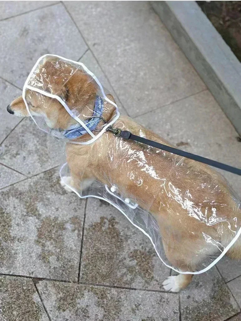 Clear Pet Raincoat: Waterproof Jacket Coat for Small Medium Dogs - Teddy, Shiba Dog Poncho for Outdoor Walking