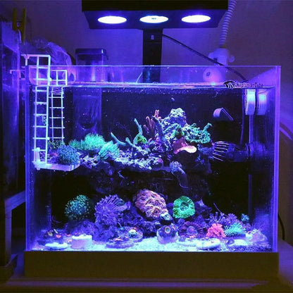 Spectra Nano 029 Aquarium Light 30W – Touch Control Saltwater Lighting for Coral Reef Fish Tanks