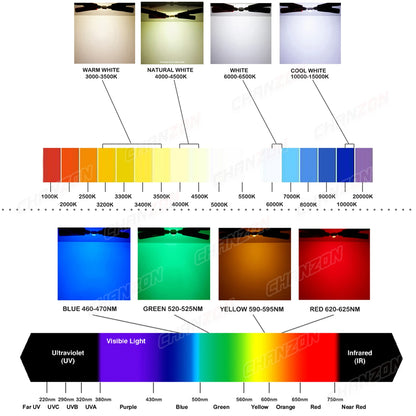 High Power COB LED Chip - 1W-100W Square Light Matrix Module in Warm Cool White RGB Colors