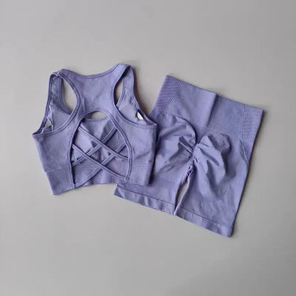 2-Piece Women’s Seamless Yoga Set – Sexy Sport Bra & High-Waist Shorts, Sleeveless Gym Fitness Workout Sportswear