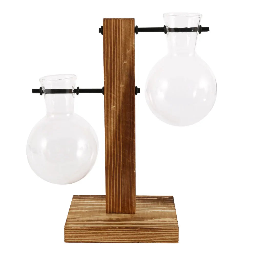 Glass Bulb Planter Vase - Wooden Stand Hydroponic Desktop Decor
