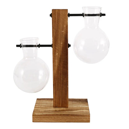 Glass Bulb Planter Vase - Wooden Stand Hydroponic Desktop Decor