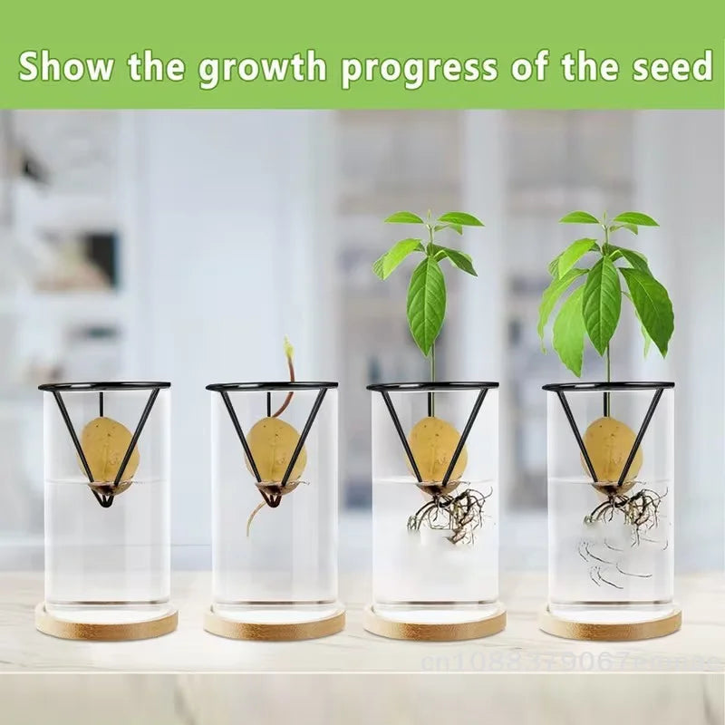 Avocado Seed Starter Vase Holder Set (1/2/4pcs) – Metal Triangle Growing Stand for Avocado, Carrot & Sweet Potato Propagation, Indoor Plant Rooting Kit