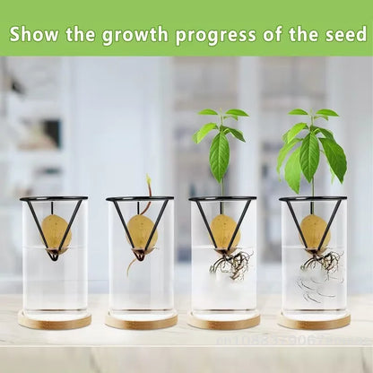 Avocado Seed Starter Vase Holder Set (1/2/4pcs) – Metal Triangle Growing Stand for Avocado, Carrot & Sweet Potato Propagation, Indoor Plant Rooting Kit
