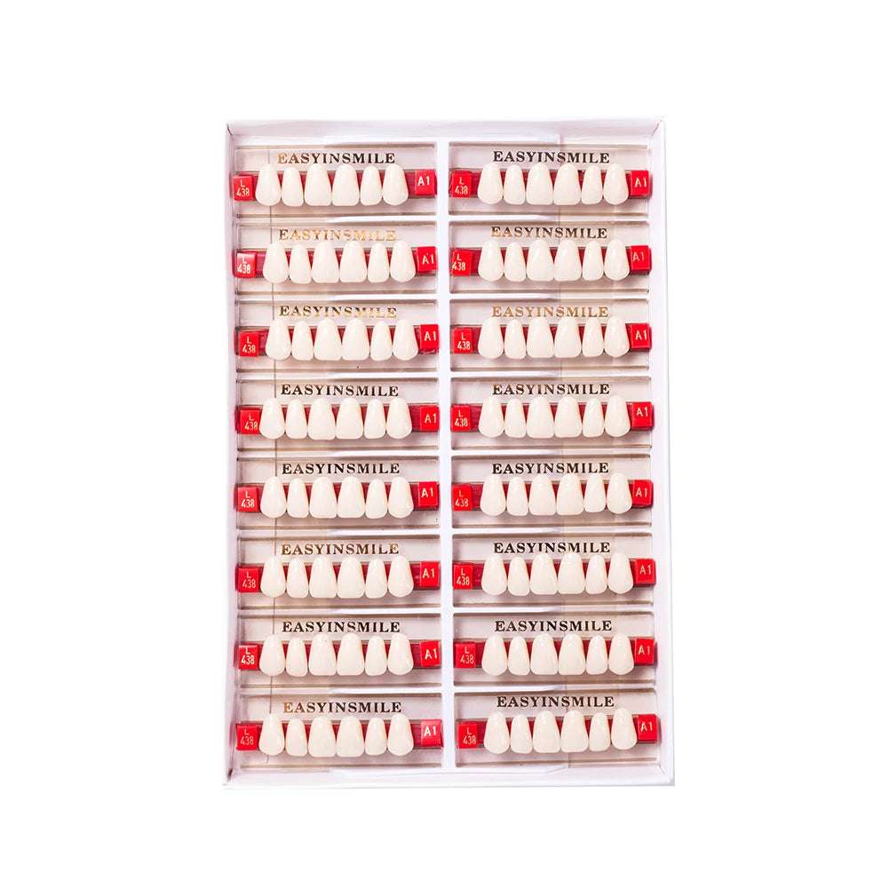 16/12 Set Dental Denture Teeth Model Kit, Upper & Lower Anterior Synthetic Polymer Teeth A2 A3 for Dental Education & Training
