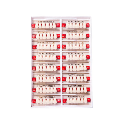 16/12 Set Dental Denture Teeth Model Kit, Upper & Lower Anterior Synthetic Polymer Teeth A2 A3 for Dental Education & Training