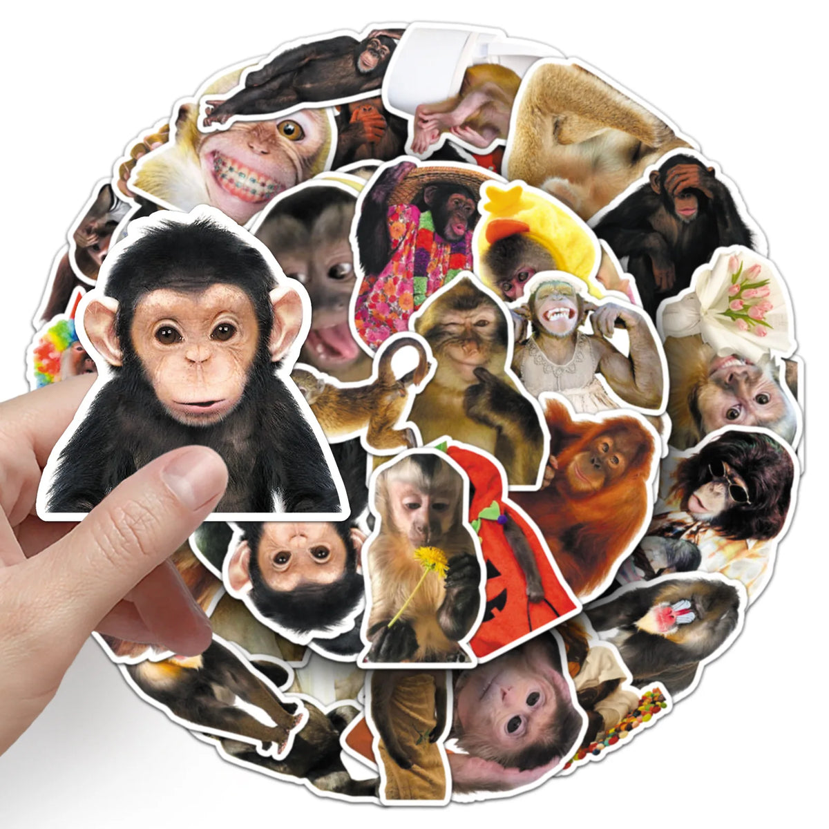 50-Piece Funny Monkey & Orangutan Stickers - Waterproof Cartoon Doodle Decals for Notebooks, Helmets, Suitcases, Motorcycles, and Fridges