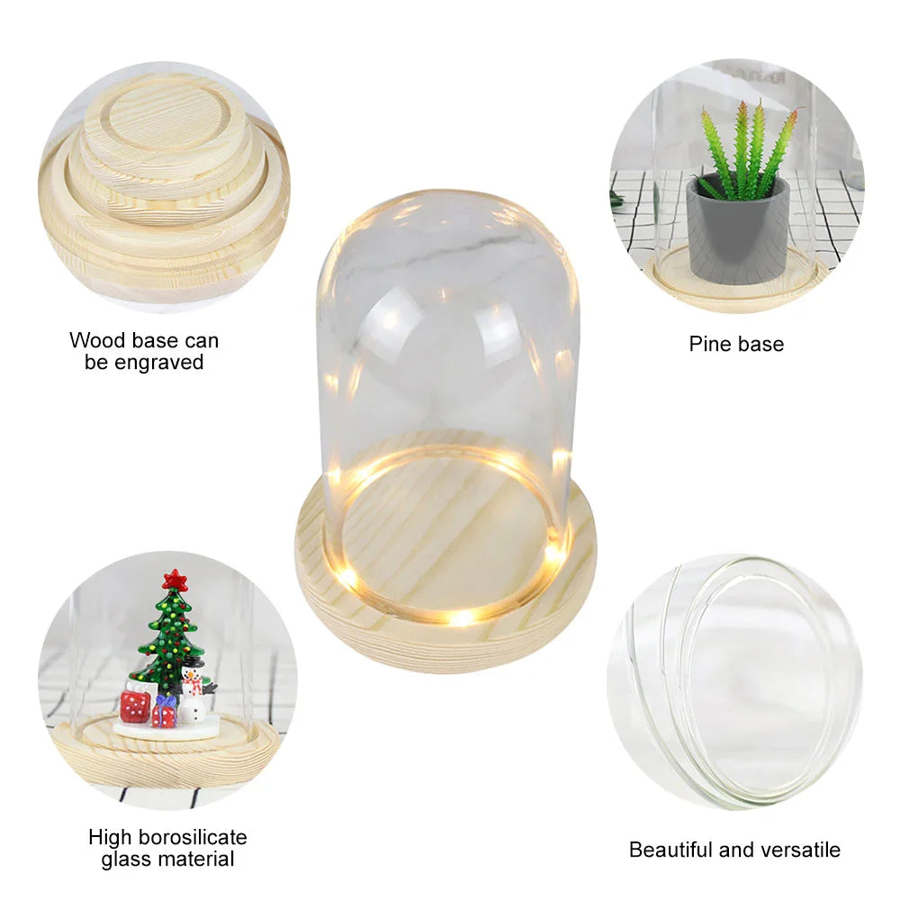 Glass Dome with Wooden Base & LED Light – Terrarium Vase, Flower Holder, Landscape Container for Bedroom Decor & Birthday Gifts