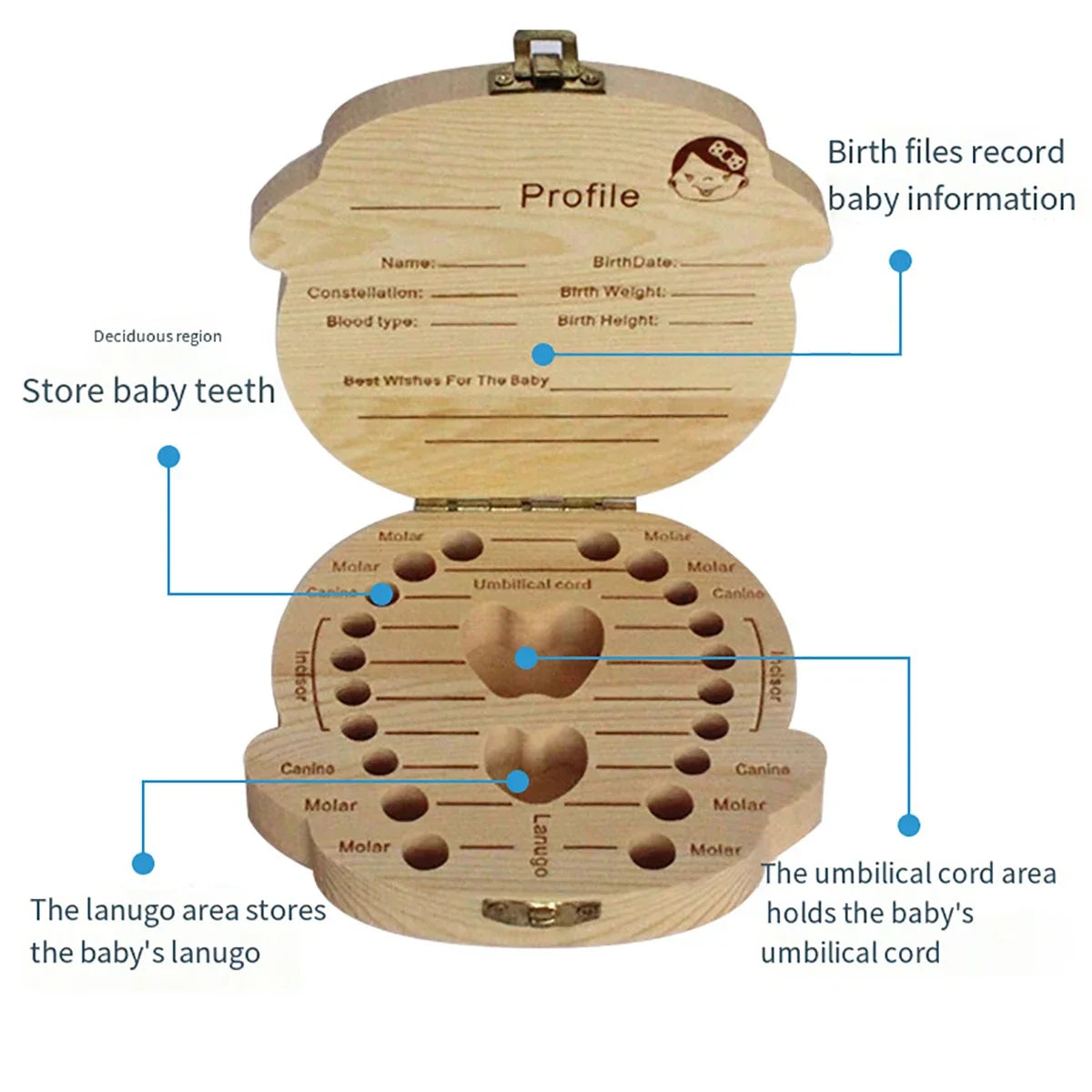 Wooden Baby Tooth & Fetal Hair Storage Box – Keepsake Souvenir Box for Baby Teeth and Hair, Tooth Fairy Collection Box