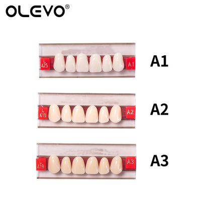 84PCS Dental Acrylic Resin Denture Teeth Set – Full Mouth Upper & Lower False Teeth Model (A1/A2/A3, S/M/L Sizes)