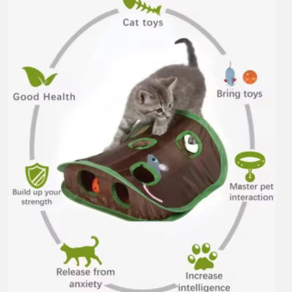 Interactive Cat Hide-and-Seek Toy - Foldable Tunnel and Hidden Mouse Hunting Game for Indoor Play and Kitten Enrichment