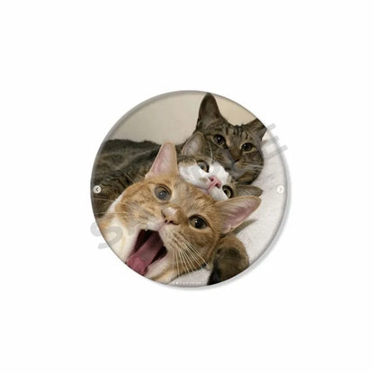 50mm Tinplate Cat Meme Button Pins – Funny Round Brooch Lapel Badge for Hats, Bags & Kids Gifts