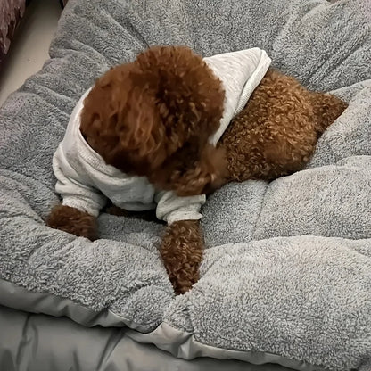 Extra-Large Plush Pet Bed — Super Soft Thick Polyester Dog & Cat Sofa, House, and Cage Mat