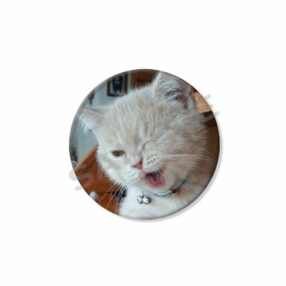 50mm Tinplate Cat Meme Button Pins – Funny Round Brooch Lapel Badge for Hats, Bags & Kids Gifts
