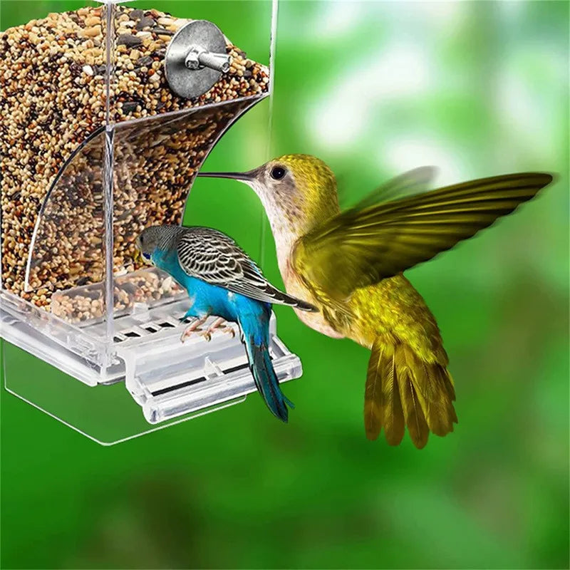 Automatic Bird Feeder: No-Mess Parrot Feeder & Drinker - Acrylic Seed Container for Small & Medium Parakeets