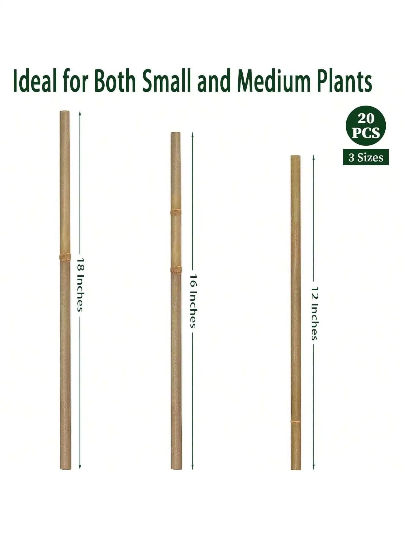 20pcs Eco-Friendly Bamboo Garden Stakes – Wooden Plant Supports for Climbing Plants and Gardening