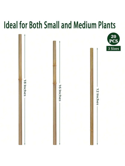 20pcs Eco-Friendly Bamboo Garden Stakes – Wooden Plant Supports for Climbing Plants and Gardening