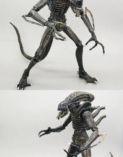 NECA Xenomorph Alien vs. Predator Action Figure — Fully Articulated Collectible with Movable Joints, Cool Toy & Gift