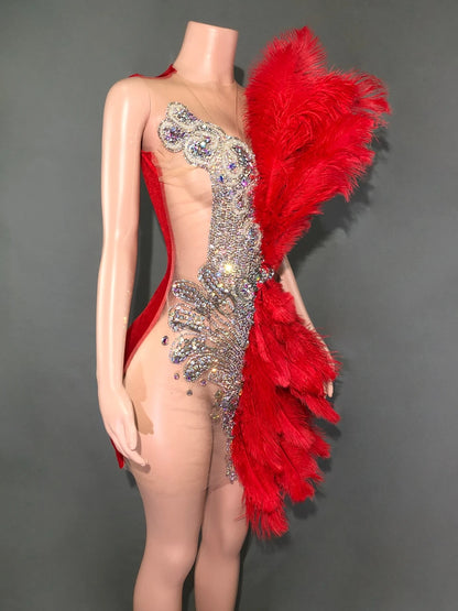 Sparkly Rhinestone Mesh Velvet Feather Mini Dress - Sleeveless Birthday & Dance Performance Costume