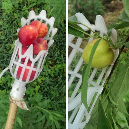 Multi-Color Garden Hand Fruit Picker | Plastic Picking Tool for Bayberry & Jujube Harvesting | Agrarische Fruit Catcher