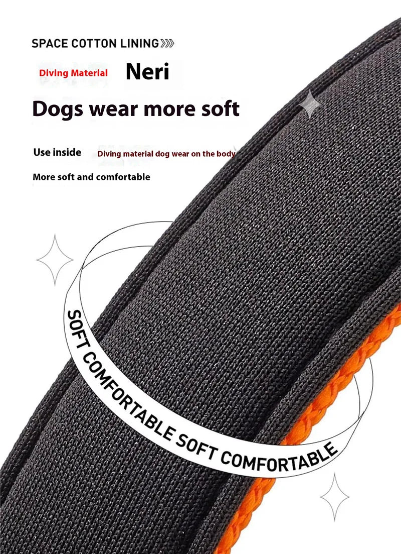 Reflective Dog Collar – Soft Neoprene Padded Nylon, Adjustable & Sturdy for Medium and Large Dogs
