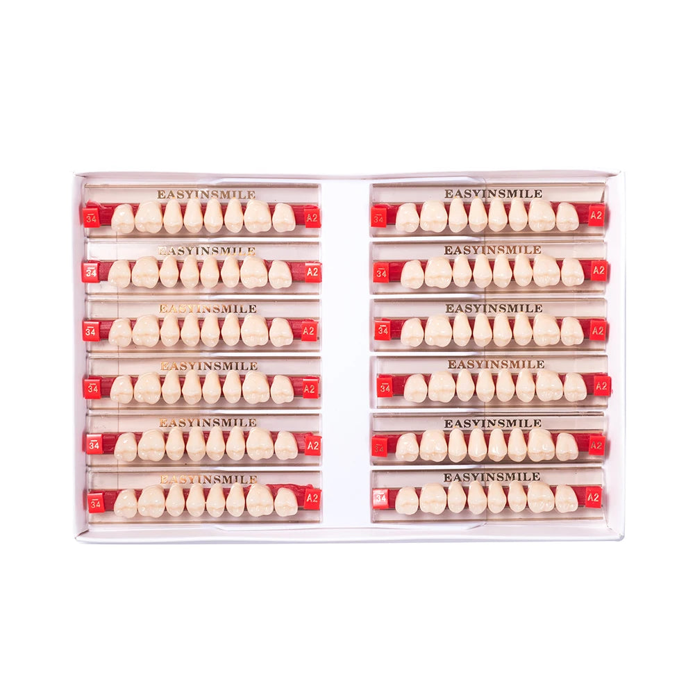 16/12 Set Dental Denture Teeth Model Kit, Upper & Lower Anterior Synthetic Polymer Teeth A2 A3 for Dental Education & Training
