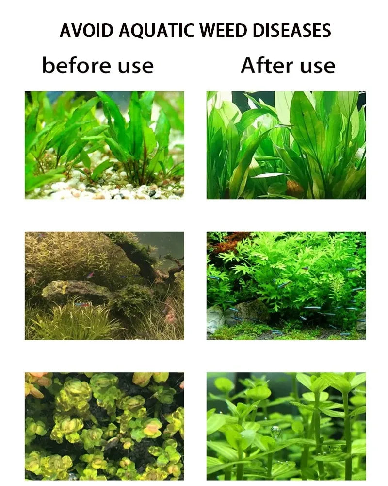 Aquarium DIY CO2 Generator Kit – Stainless Steel CO2 Cylinder & Carbon Dioxide Reactor System for Plants & Fish Tanks