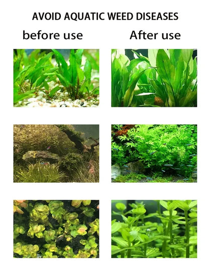 Aquarium DIY CO2 Generator Kit – Stainless Steel CO2 Cylinder & Carbon Dioxide Reactor System for Plants & Fish Tanks