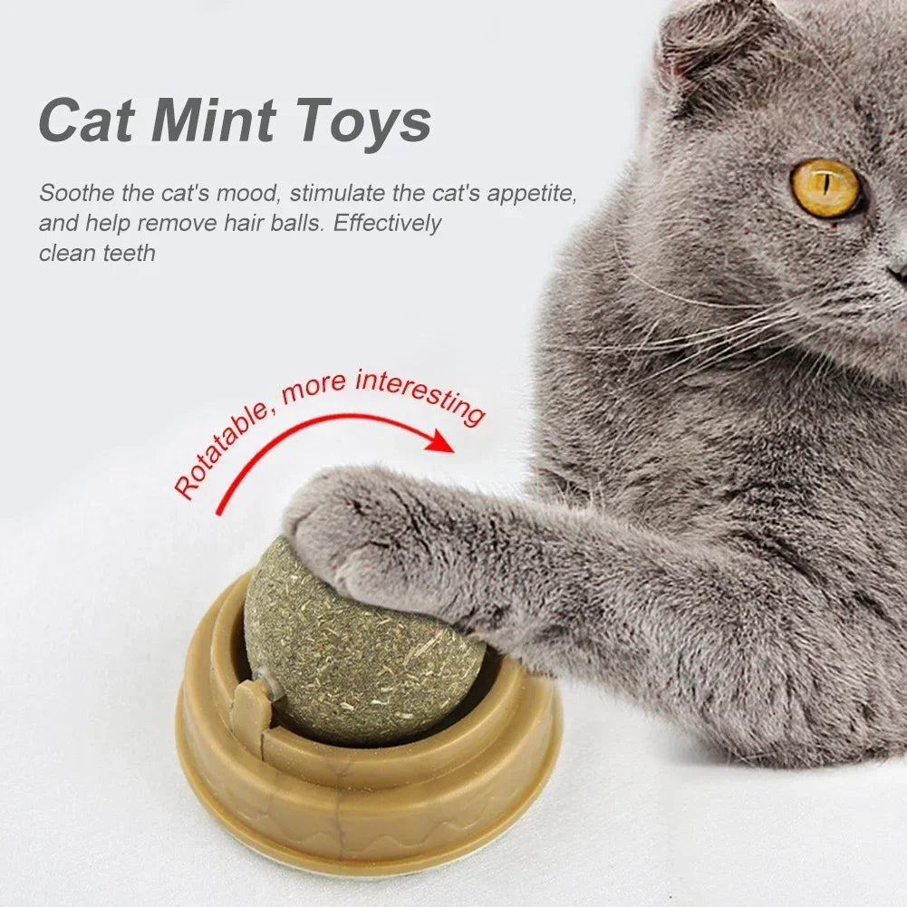 Pet Catnip Toys – Edible Catnip Balls for Healthy Teeth and Stomach, 1-10 Pack, Safe and Fun Chasing Game for Cats